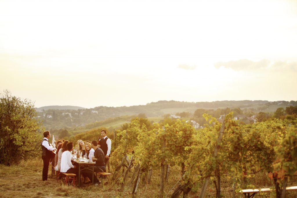 Wieninger am Nussberg / Wieninger vineyard on the Nussberg
